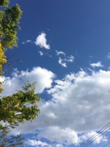 昨日は🌸