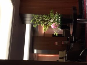 明日は🌸
