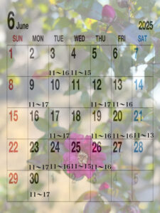 6月☆*。
