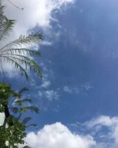ありがとうございました😊🌸