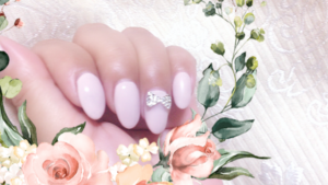 おはようございます🌸