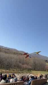 見たかった景色