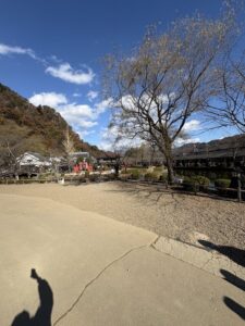 ご挨拶遅れました