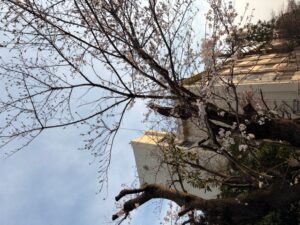 ありがとうございました😊🌸