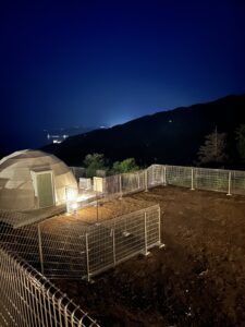 おはようございます