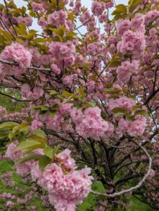 昨日はありがとうございました❤