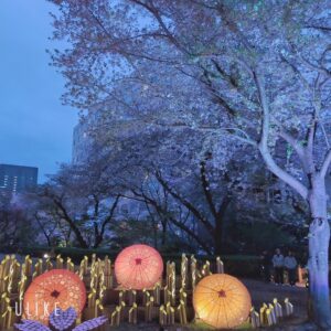 ありがとうございました♥